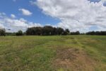 Área do antigo Lixão do Roger, em João Pessoa, onde a Prefeitura rescindiu o contrato da empresa responsável pela recuperação ambiental.