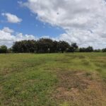 Área do antigo Lixão do Roger, em João Pessoa, onde a Prefeitura rescindiu o contrato da empresa responsável pela recuperação ambiental.