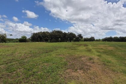 Área do antigo Lixão do Roger, em João Pessoa, onde a Prefeitura rescindiu o contrato da empresa responsável pela recuperação ambiental.