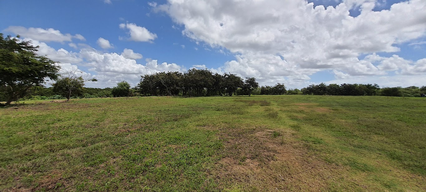 Área do antigo Lixão do Roger, em João Pessoa, onde a Prefeitura rescindiu o contrato da empresa responsável pela recuperação ambiental.