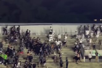 Torcedores do Botafogo-PB no estádio Almeidão durante partida da Série C do Campeonato Brasileiro.